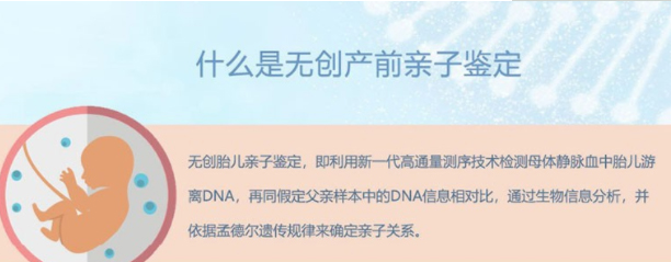 怀孕几个月如何确定孩子父亲是谁[六盘水],怀孕亲子鉴定准确吗